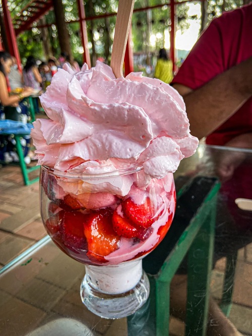 Fresh Strawberry Ice Cream